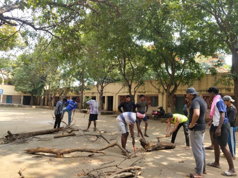 WhatsApp Image 2025-11-12 at 11.20